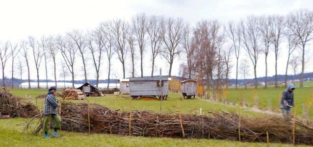 Orientierungswerkstätten: Die bewohnbare Natur wird belebt